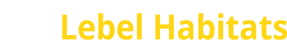 logo_header